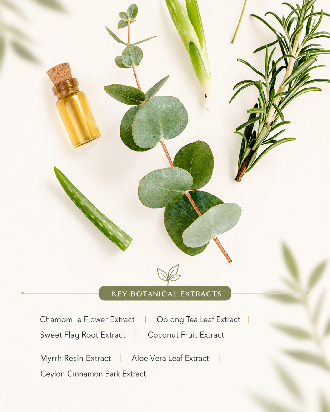 Clinclii key botanical extracts for ammonia-free at-home hair color